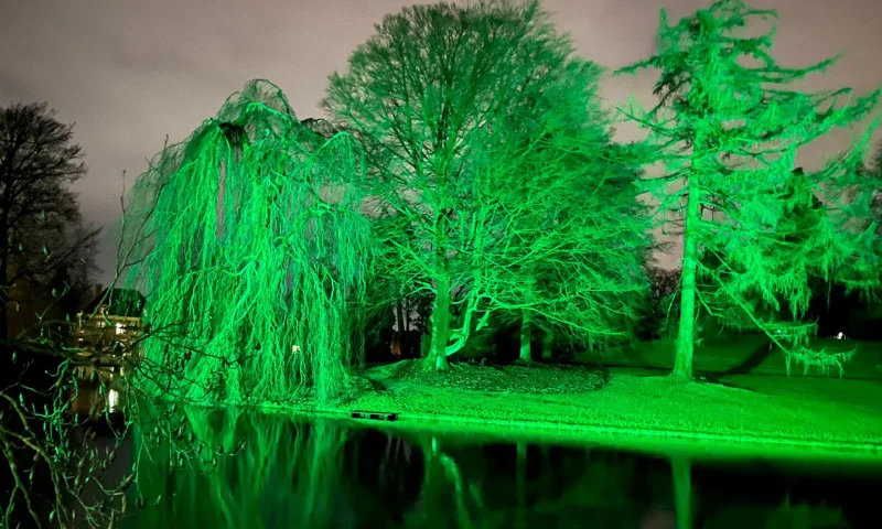 BeamZ Pro Star Color 540 Architectural Wash Light – 36x15W IP65