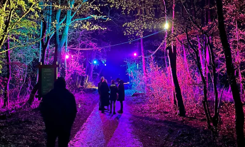 BeamZ Pro Star Color 540 Architectural Wash Light – 36x15W IP65